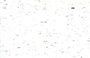 叔母が眠っている間 じょせい むりょう あだると