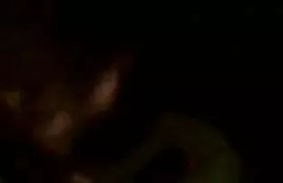 女性は中毒の猫を通して見ています エロ 動画 女性 向け アニメ